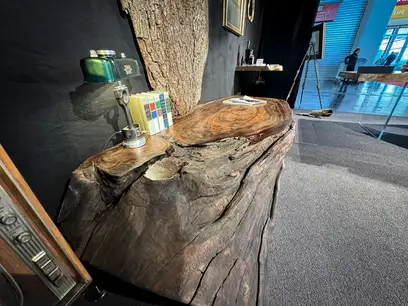 Massiver Beistelltisch aus einem Nussbaumstamm von Stammdesign