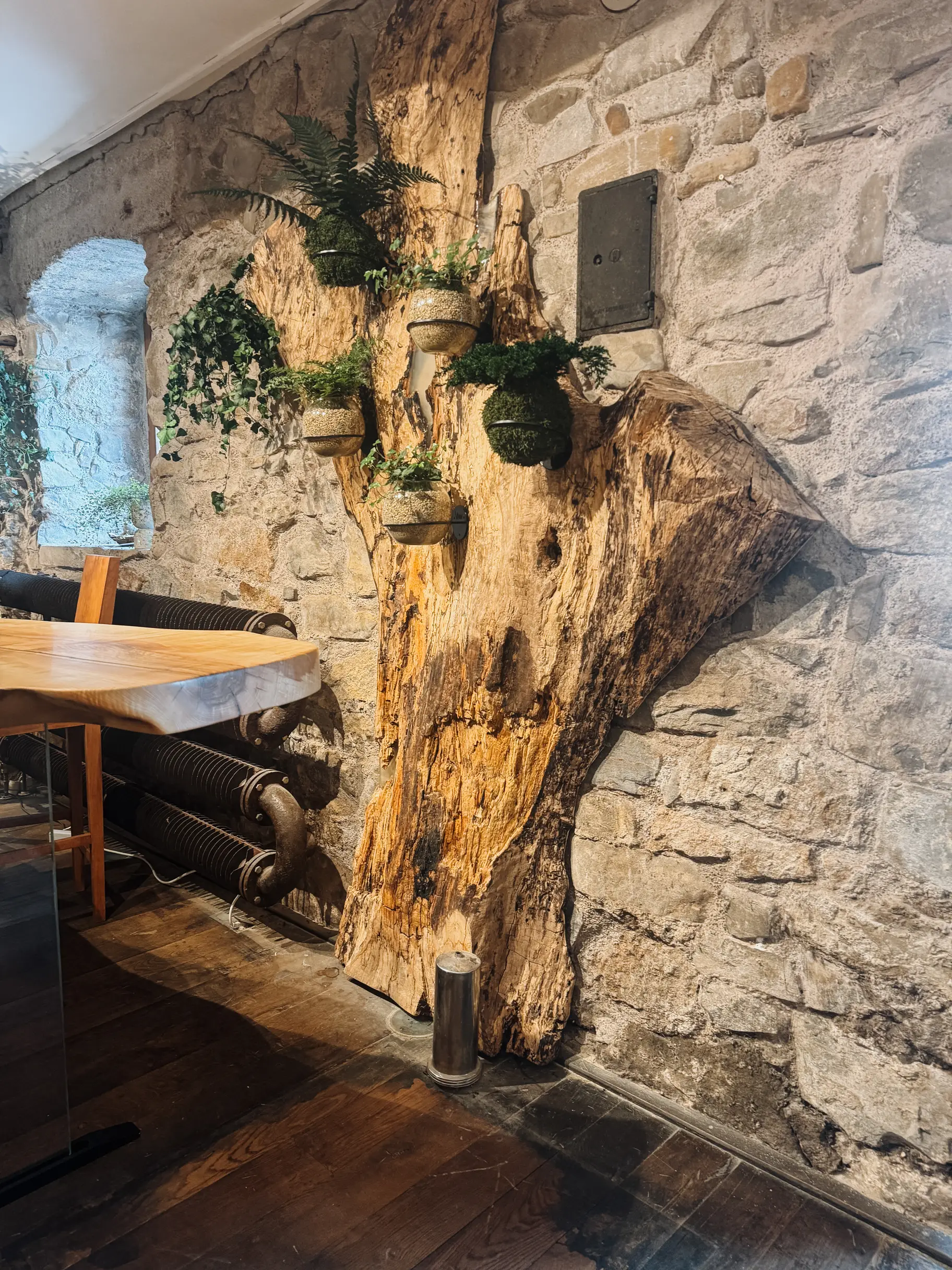 Design-Wandobjekt aus echtem Baumstammholz von Stammdesign, das Natur und modernes Interieur verbindet