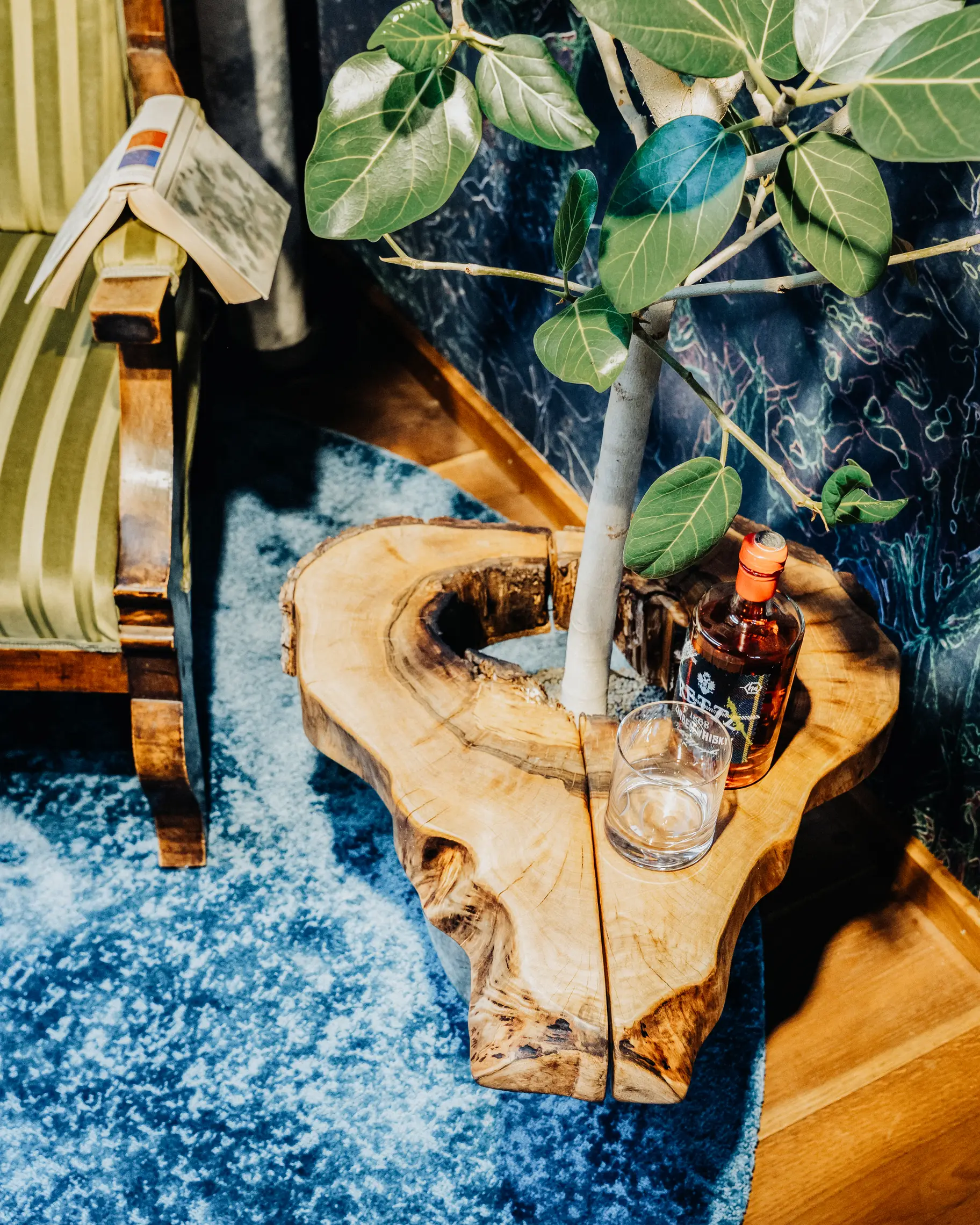 Stylischer Blumentopf mit kleinem Baum und Ablagefläche aus Holz für Indoor