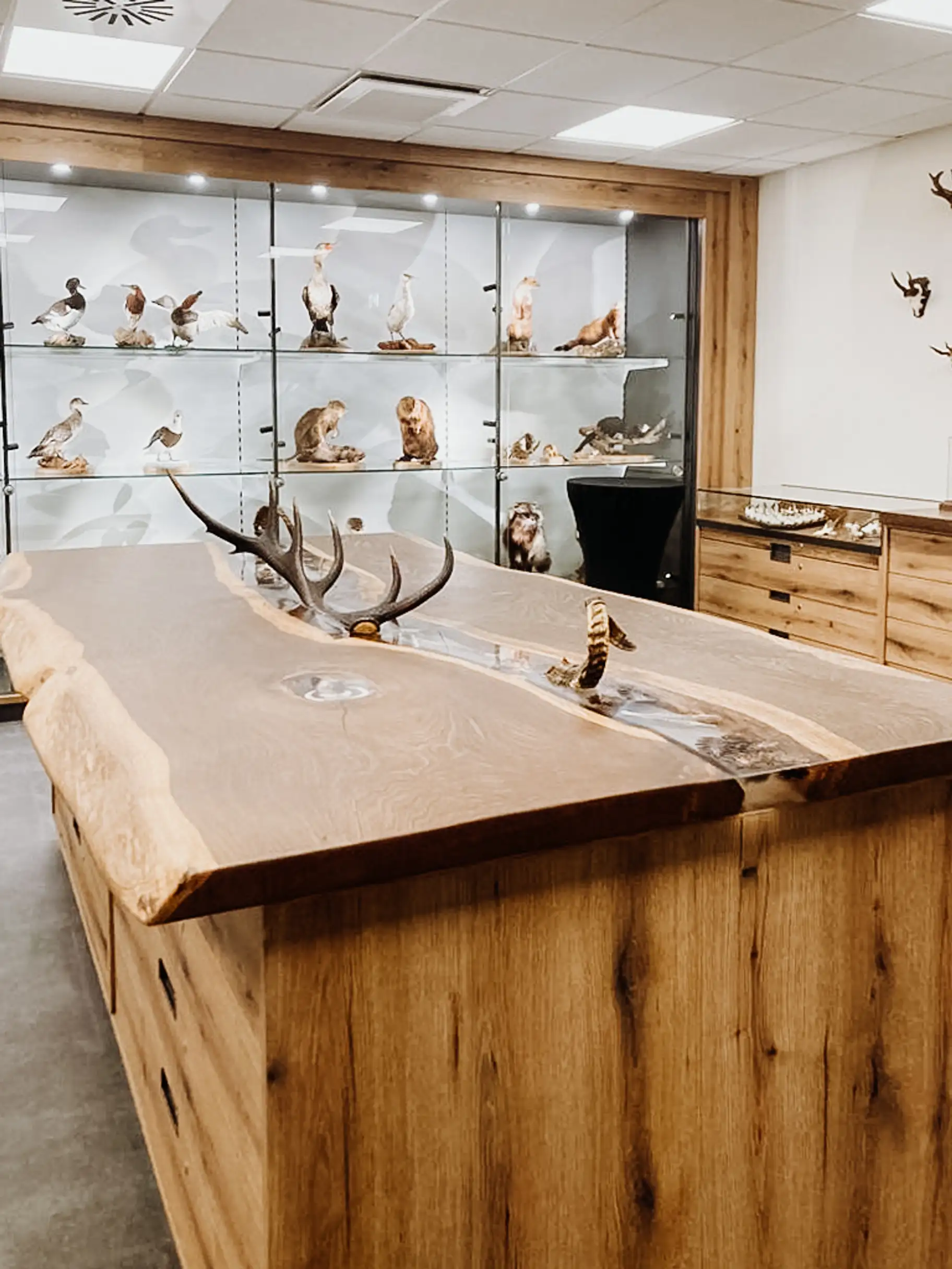 Sales table with epoxy resin made of ash wood, wooden furniture for retail store