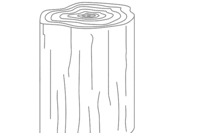 Animación de elementos de madera extraídos de un tronco, gráfico delineado