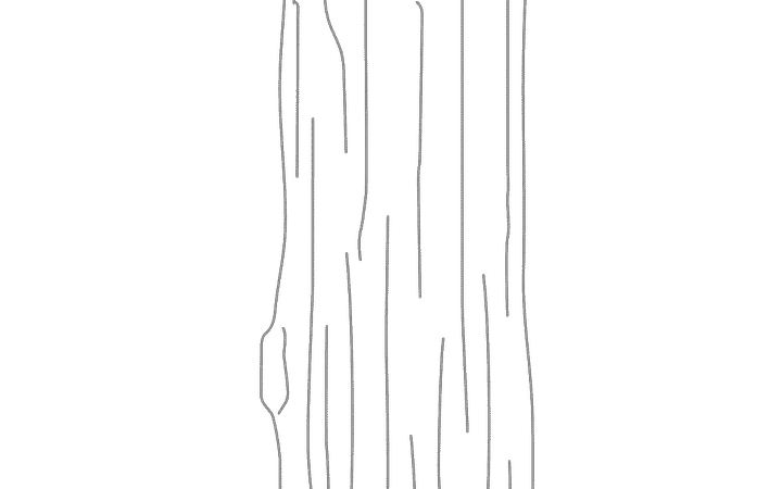 Animazione di un tronco d'albero rotante come grafica in outline