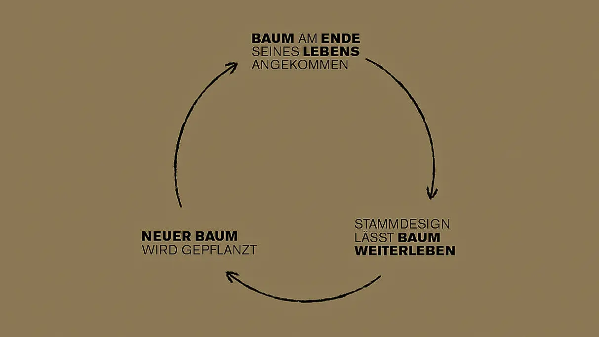 Kreislauf-Infografik von Stammdesign zur nachhaltigen Holzverarbeitung