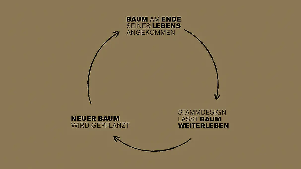 Kreislauf-Infografik von Stammdesign zur nachhaltigen Holzverarbeitung