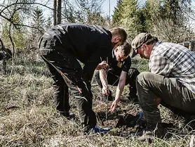 Tres personas plantando un árbol
