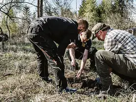 3 Personen pflanzen einen Baum