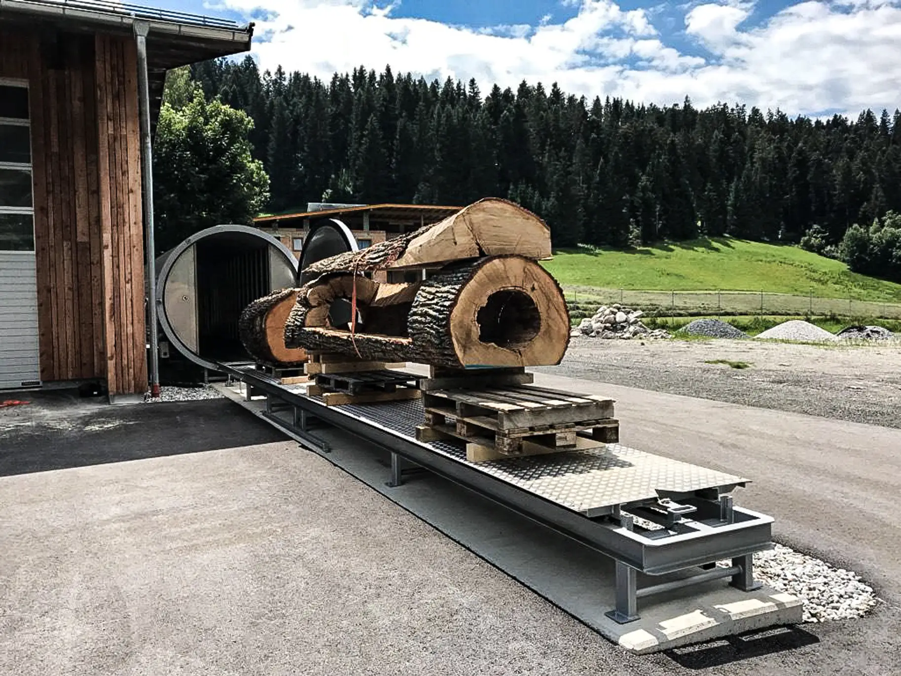 Baumstamm beim Trocknungsprozess zur optimalen Holzqualität