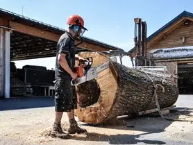 Baumstamm wird mit einer Säge für die Weiterverarbeitung in der Tischmanufaktur von Stammdesign bearbeitet