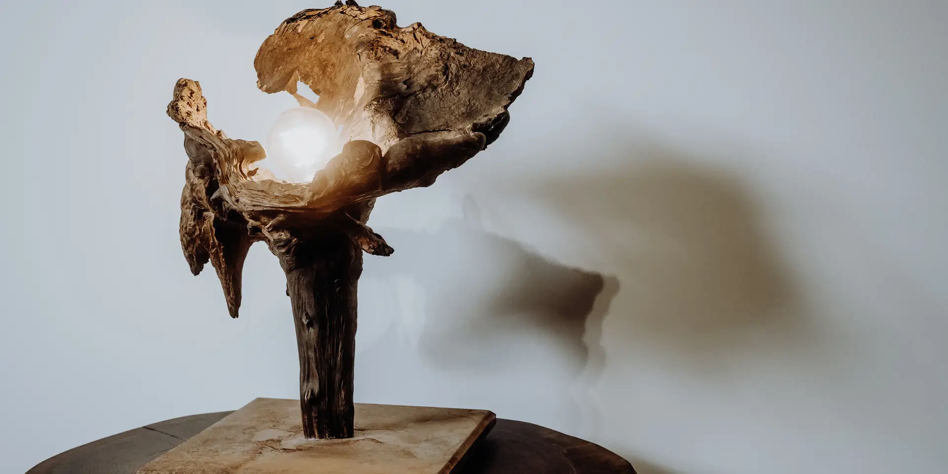 Designer table lamp made of wood with a root and metal base by Stammdesign.