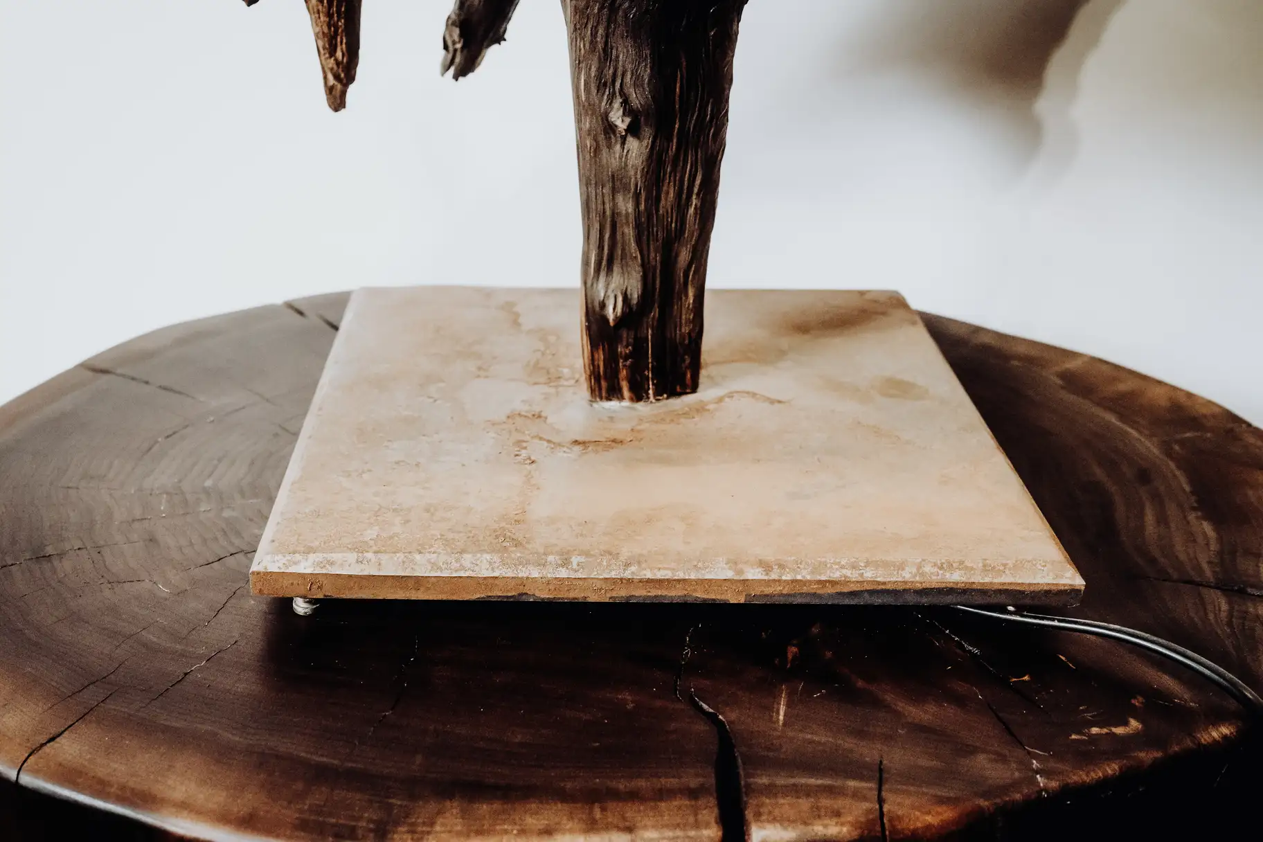 Designer Tischlampe aus Holz bestehend aus Wurzel und Metallsockel von Stammdesign