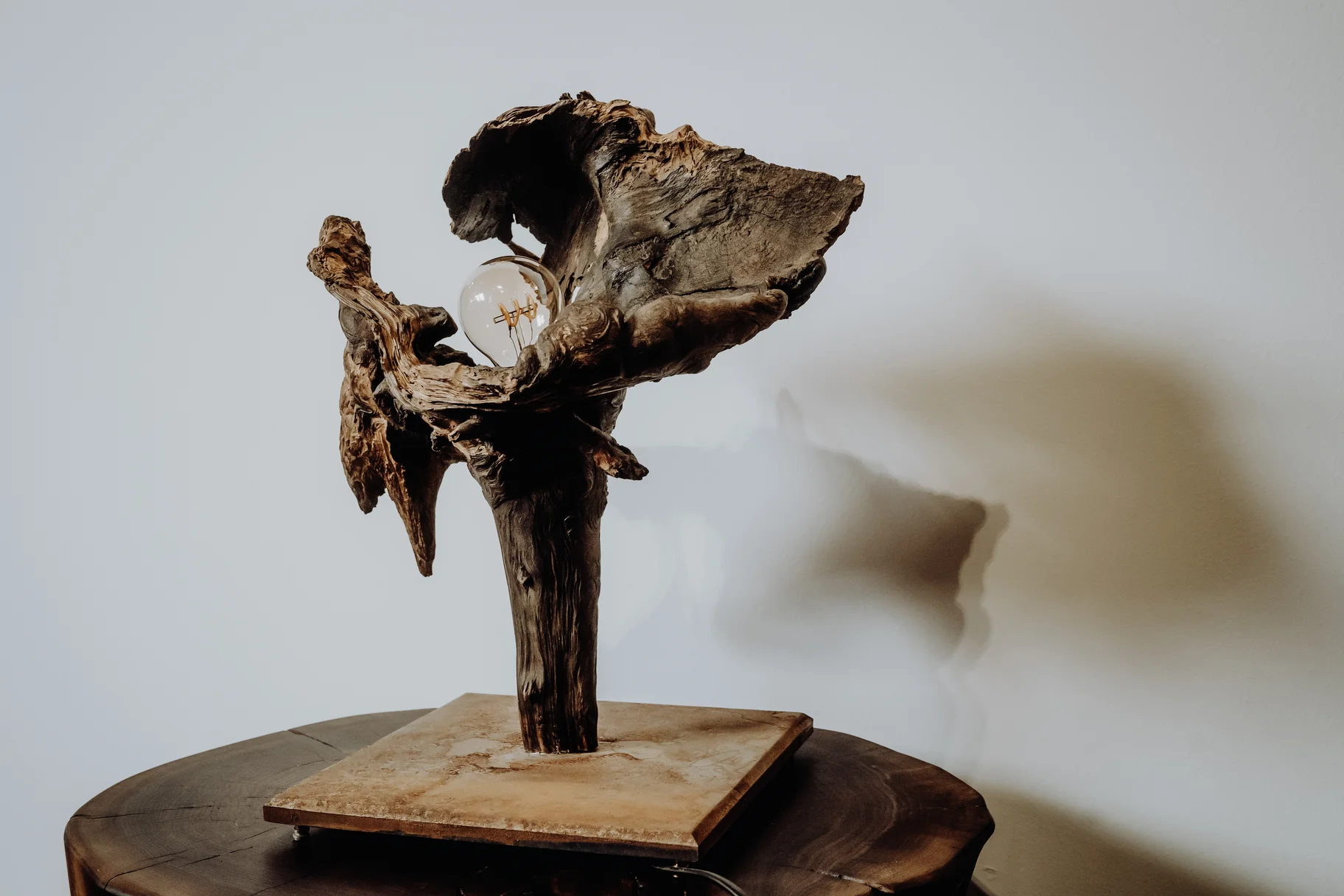 Designer Tischlampe aus Holz bestehend aus Wurzel und Metallsockel von Stammdesign