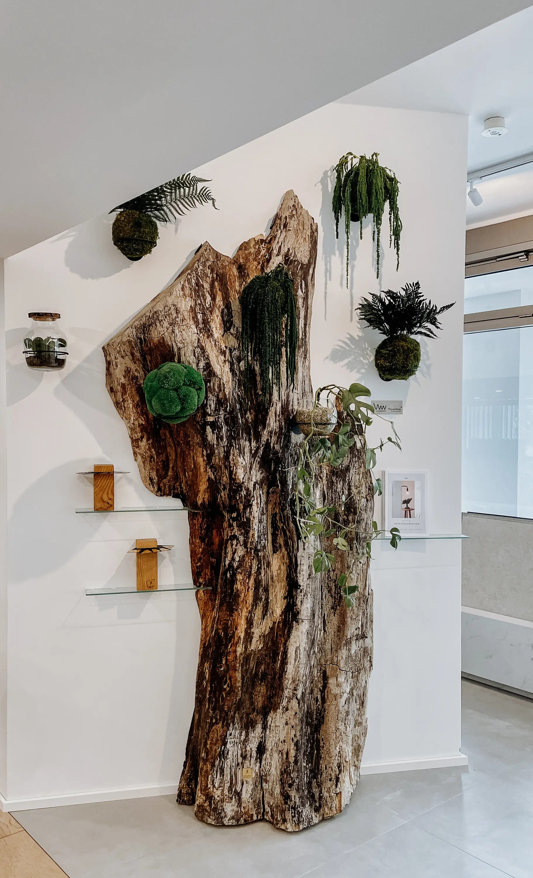 Rustikale Baum Wand Dekoration von Stammdesign aus einem Baumstamm für einzigartige Einrichtung, Ansicht 2