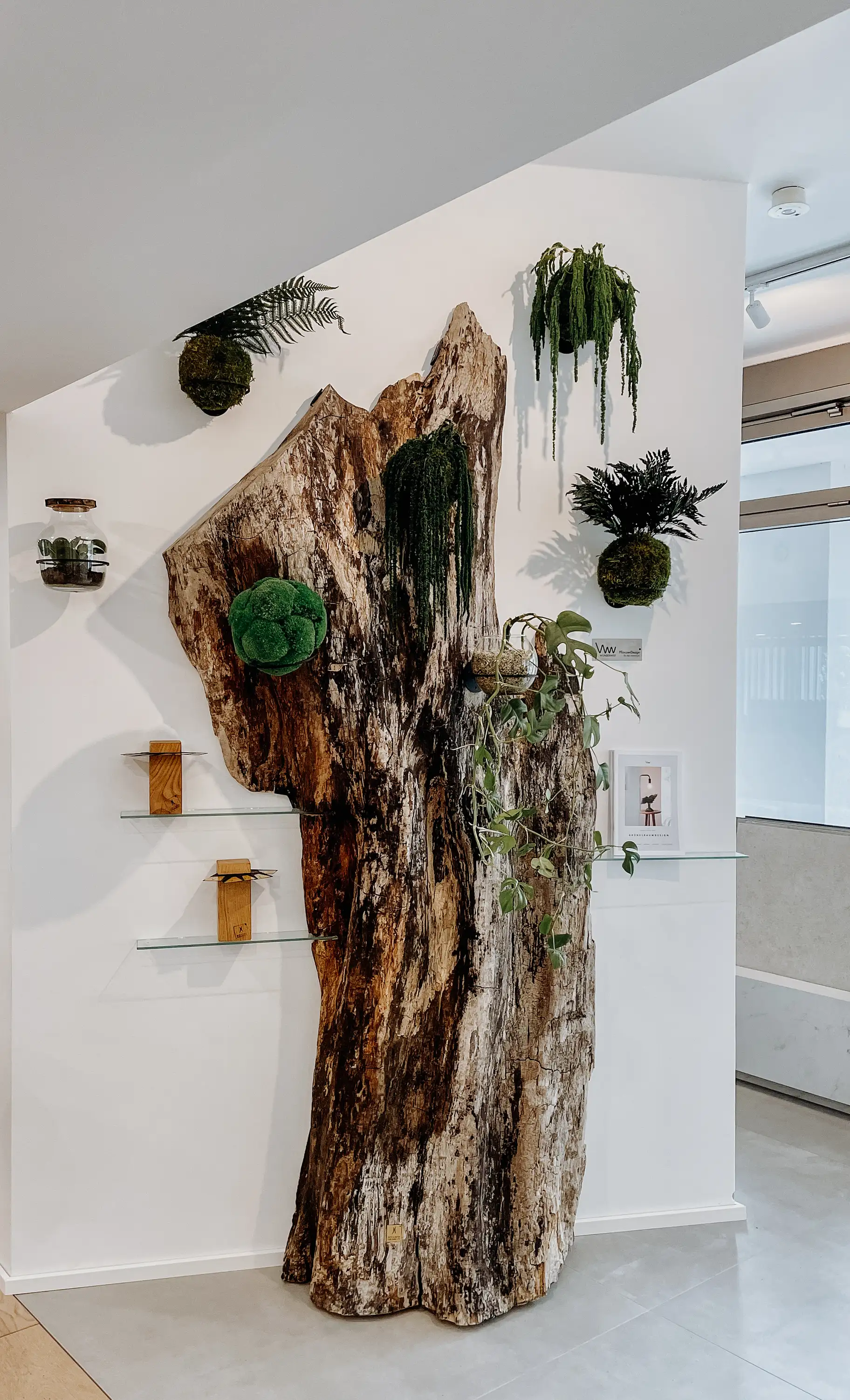 Rustikale Baum Wand Dekoration von Stammdesign aus einem Baumstamm für einzigartige Einrichtung, Ansicht 2