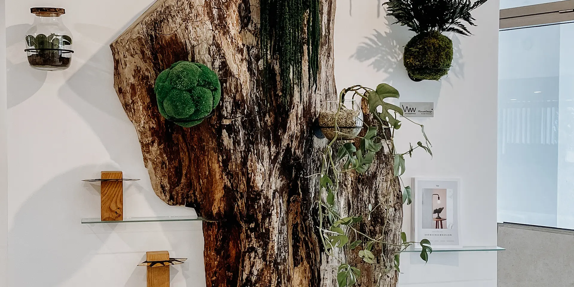 Decorazione murale rustica in tronco d'albero di Stammdesign per un arredamento unico, vista 2.
