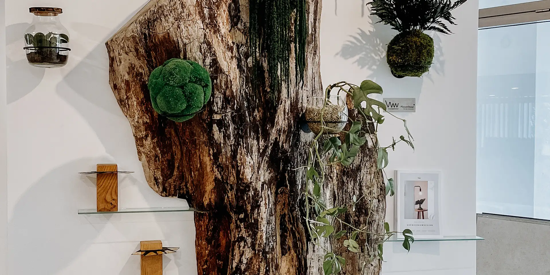 Decorazione murale rustica in tronco d'albero di Stammdesign per un arredamento unico, vista 2.
