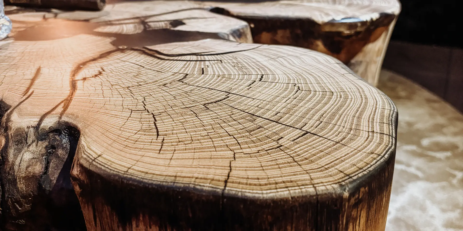 Mesa de centro rústica de tronco de árbol con veta de madera vibrante y resistente tablero en robinia, vista detallada