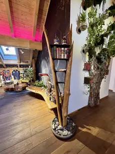 Freistehendes Regal aus einem Baumstamm als Unikat von Stammdesign als Unikat