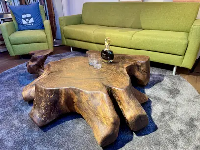 Couchtisch Wurzelstock #26001