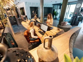 Solid wood reception counter with natural live edge in a modern hotel lobby